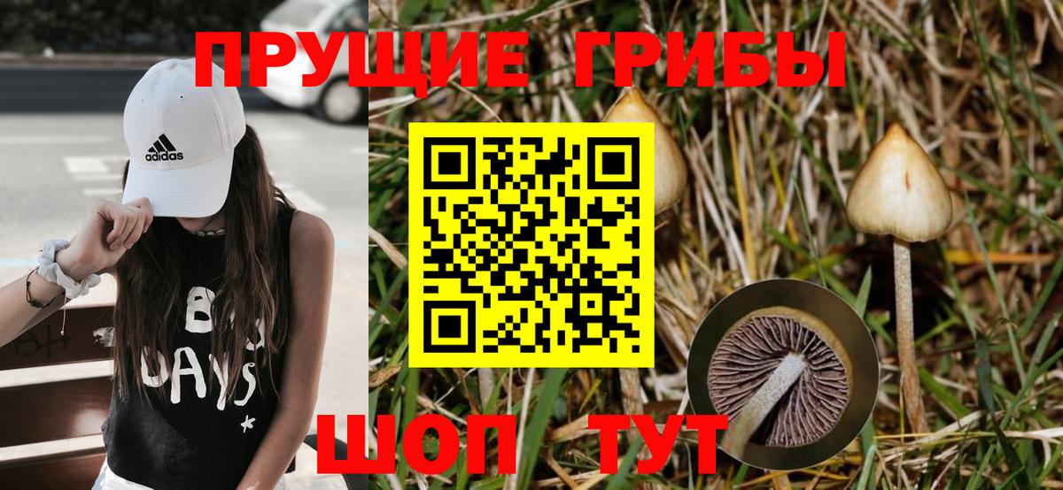 Галлюциногенные грибы Psilocybine cubensis  Вход с VPN  дарнет шоп  Казань 