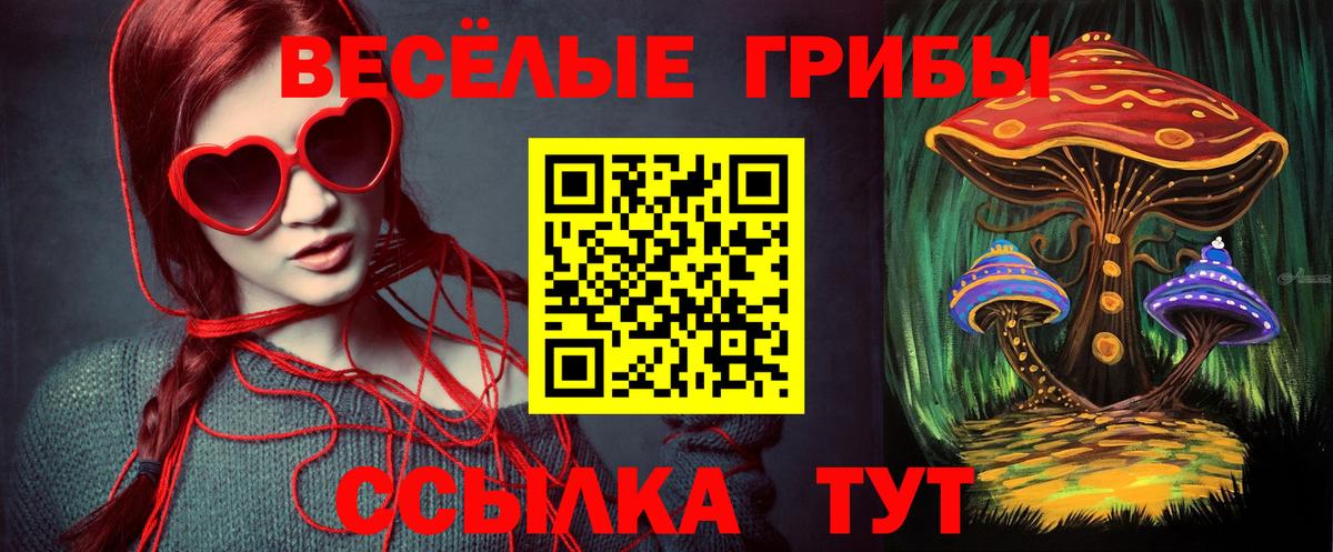 Псилоцибиновые грибы Psilocybe Казань